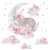 Sticker | Pink Moon