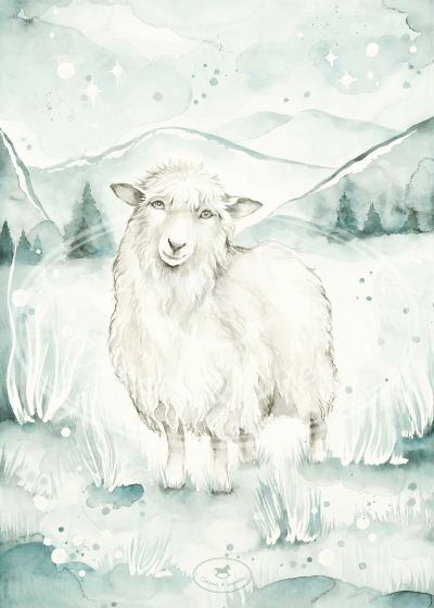 Плакат Овца 50х70см - 1